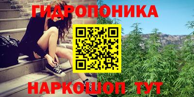 дурь Новокубанск